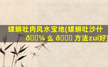 螺蛳吐肉风水宝地(螺蛳吐沙什 🐼 么 🐈 方法zui
好)